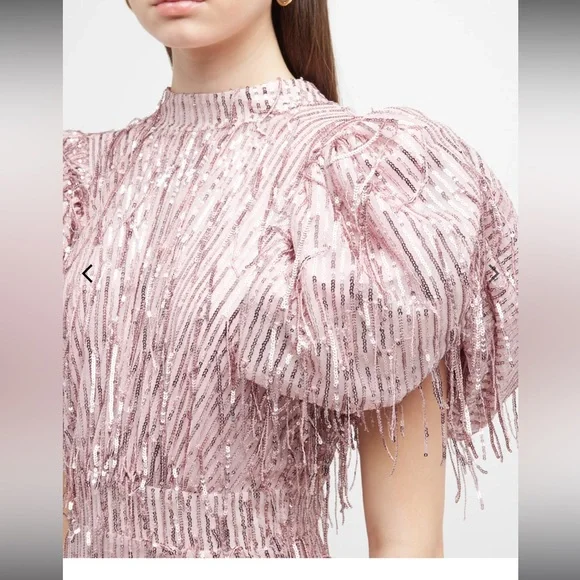 Rotate Birger Christensen Dawn Sequins Fringes Dress - Worn Once - Picture 4 of 9